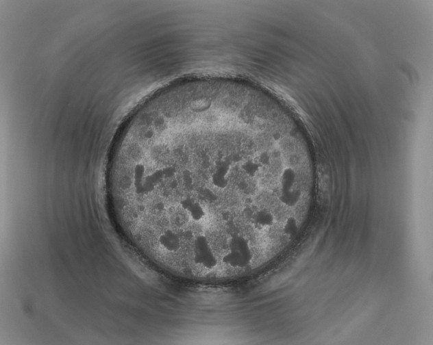 X0000113180487200910021546