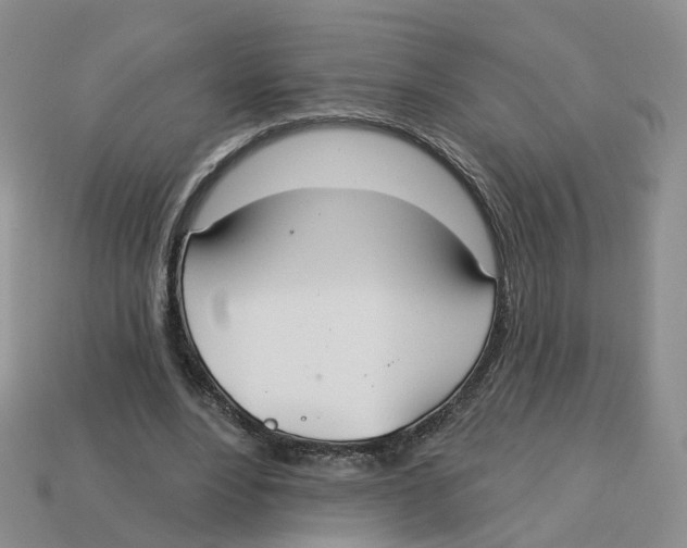 X0000113180488200910021546