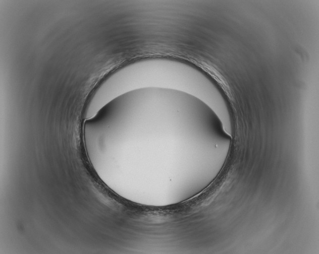 X0000113180489200910021546