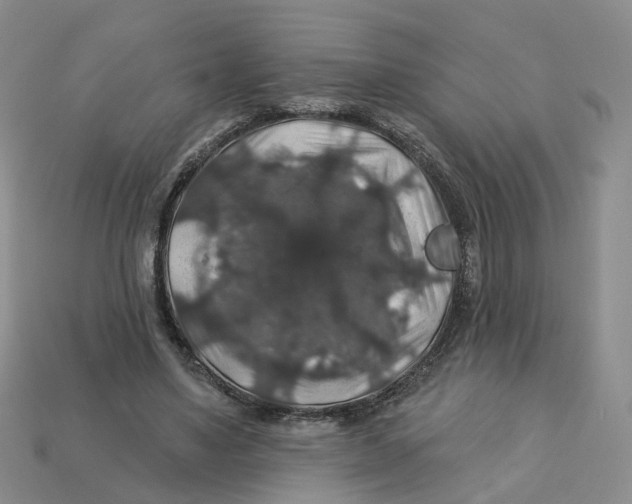 X0000113180491200910021546