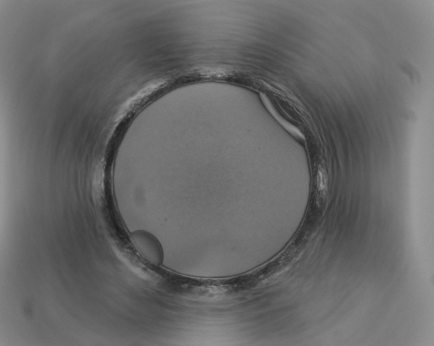 X0000113180492200910021546