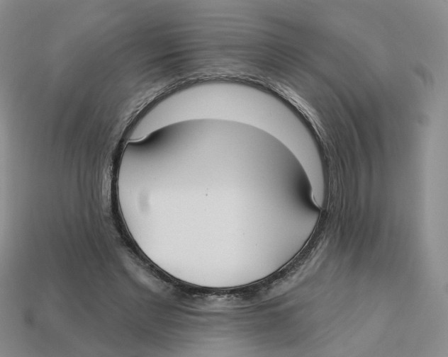 X0000113180493200910021546