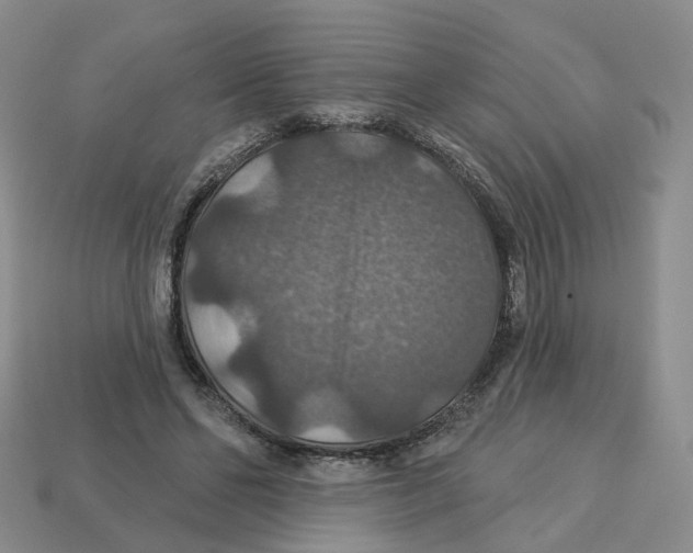 X0000113180494200910021546