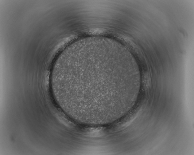 X0000113180495200910021546