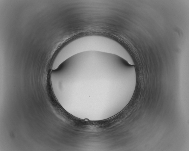 X0000113180496200910021546
