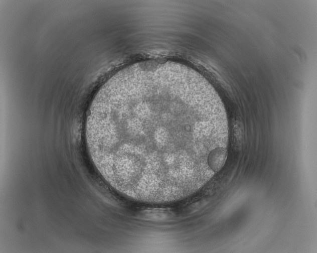 X0000113180499200910021546