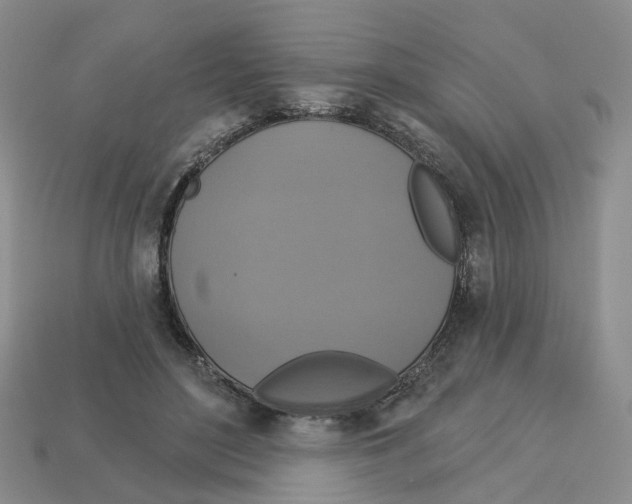 X0000113180500200910021546