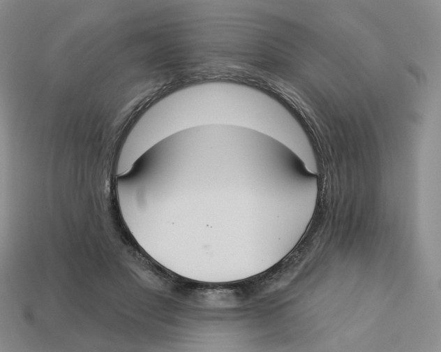 X0000113180501200910021546