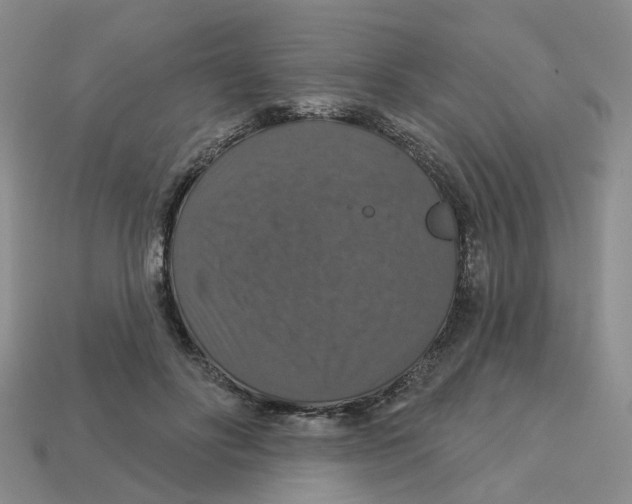 X0000113180502200910021546