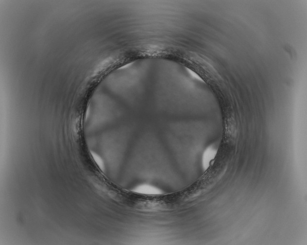 X0000113180503200910021546