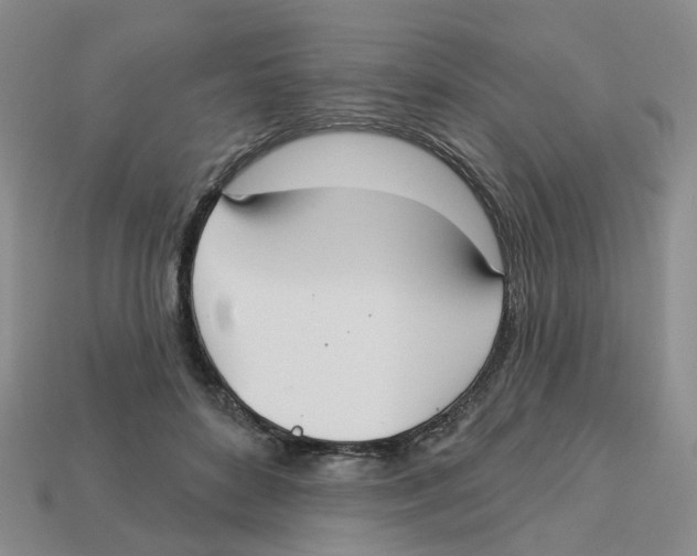 X0000113180504200910021546