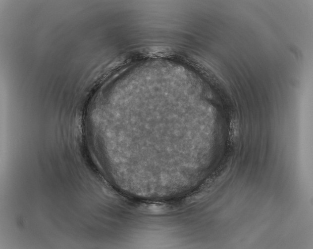 X0000113180506200910021546