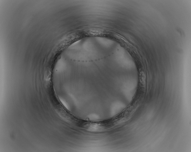 X0000113180507200910021546