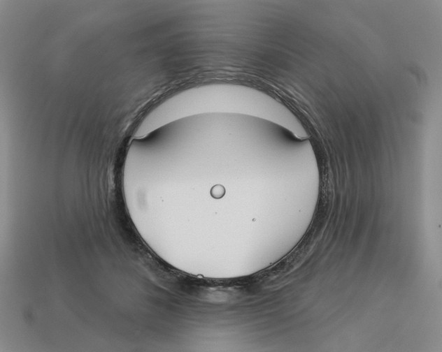 X0000113180508200910021546