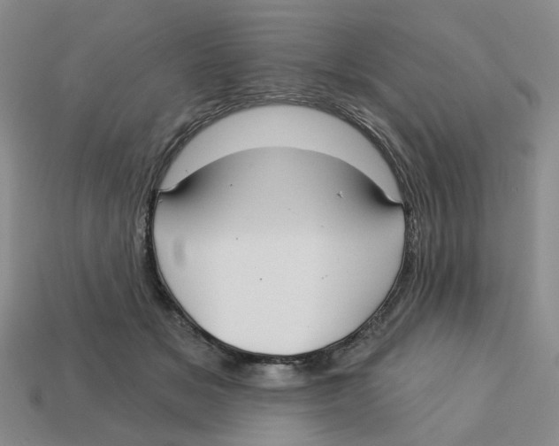 X0000113180509200910021546