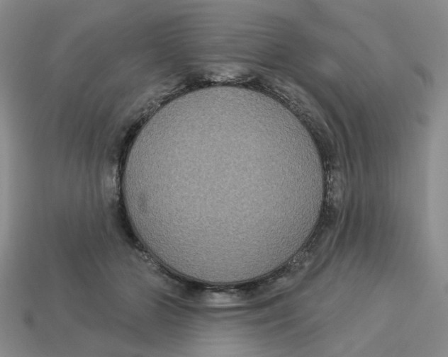 X0000113180510200910021546