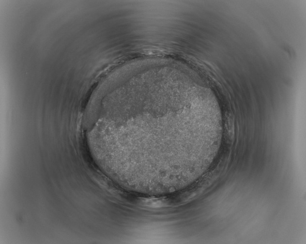 X0000113180511200910021546