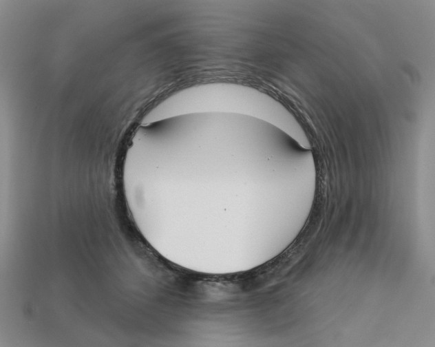 X0000113180512200910021546