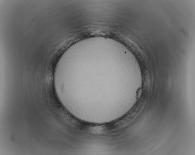 X0000113180513200910021546