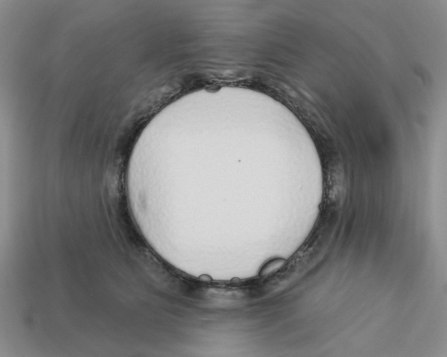X0000113180515200910021546