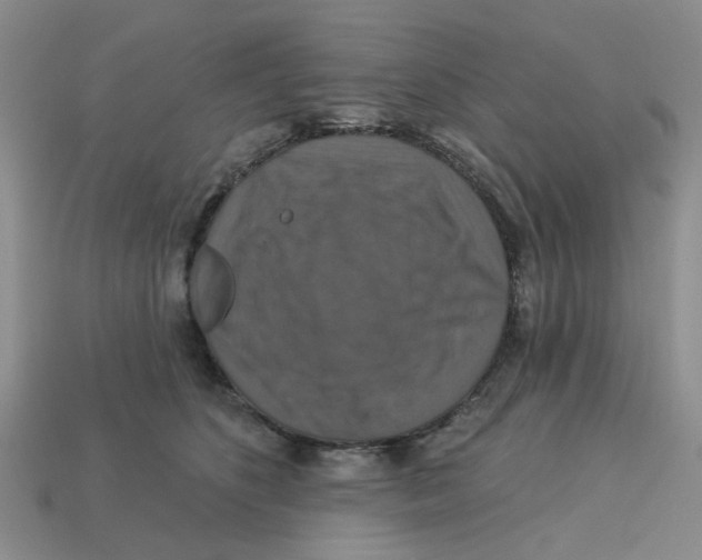 X0000113180516200910021546