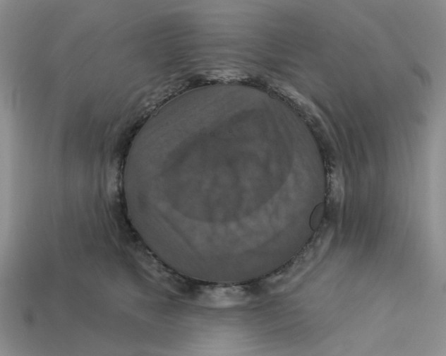 X0000113180517200910021546