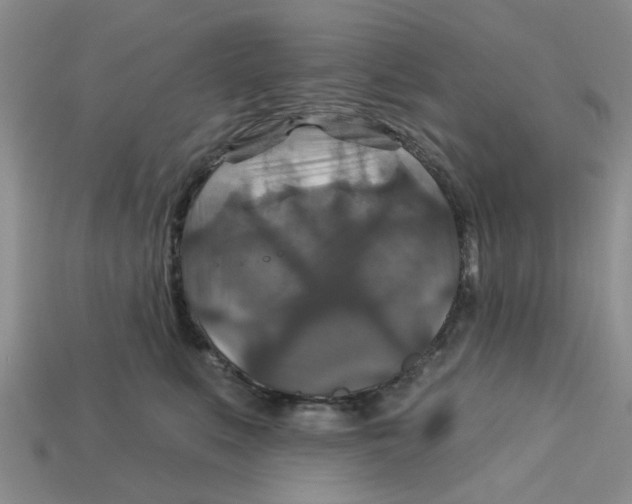X0000113180519200910021546