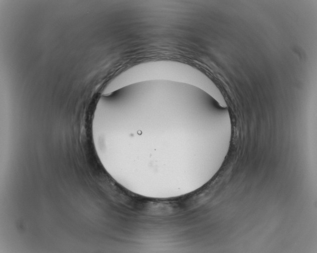X0000113180520200910021545
