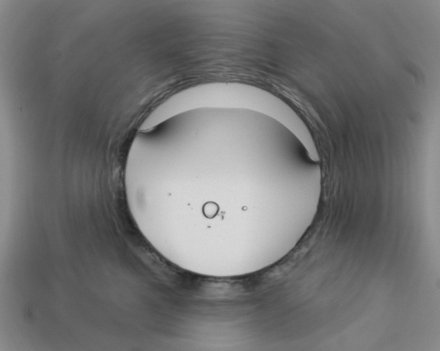 X0000113180521200910021545