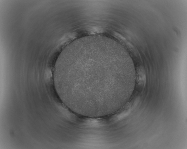 X0000113180523200910021545