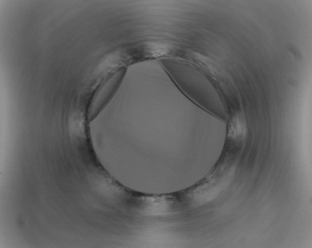 X0000113180524200910021545