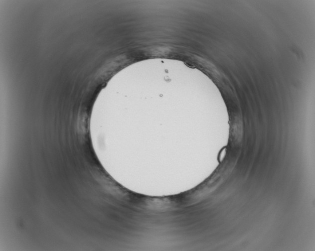 X0000113180525200910021545