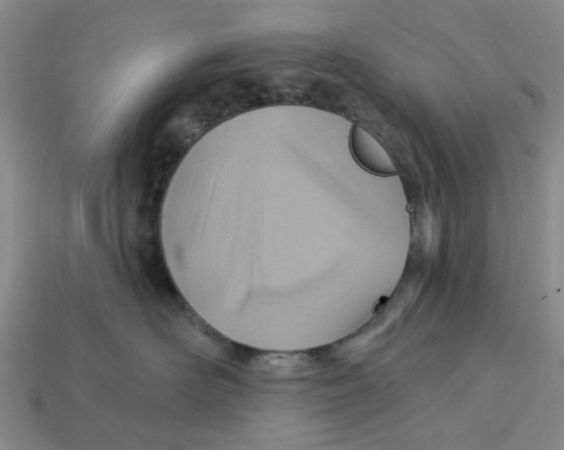 X0000113180526200910021545