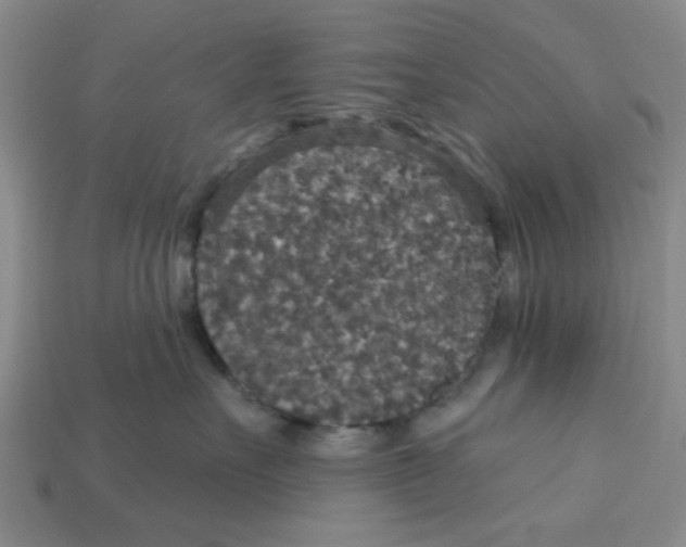 X0000113180527200910021545