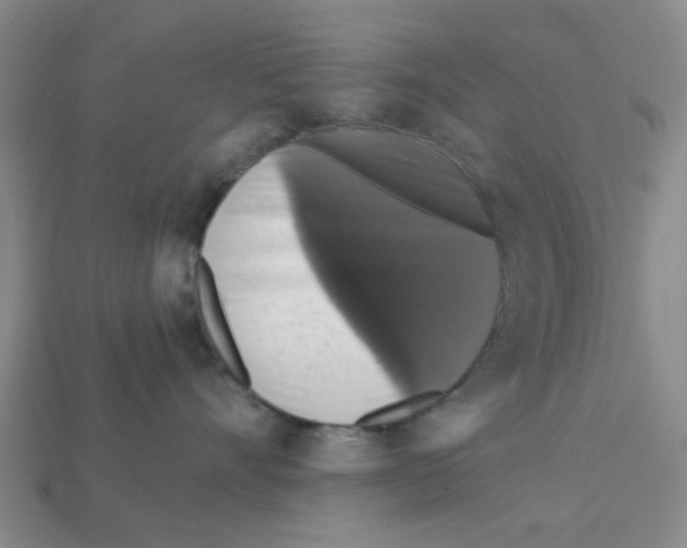 X0000113180528200910021545