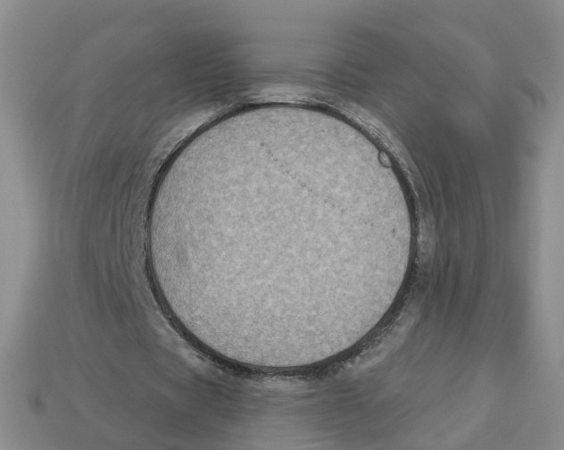 X0000113180529200910021545