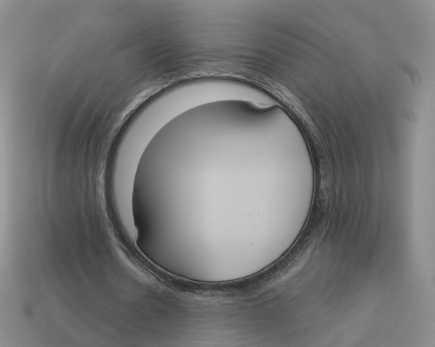 X0000113180530200910021545