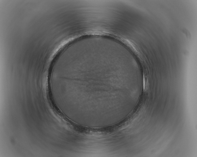 X0000113180531200910021545
