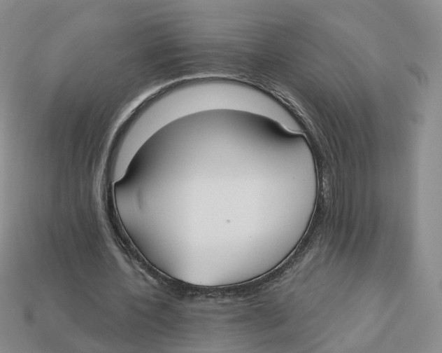 X0000113180532200910021545