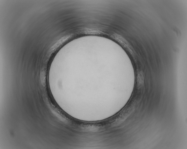 X0000113180533200910021545
