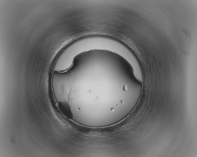 X0000113180534200910021545