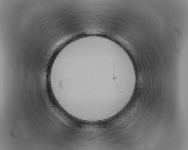 X0000113180535200910021545