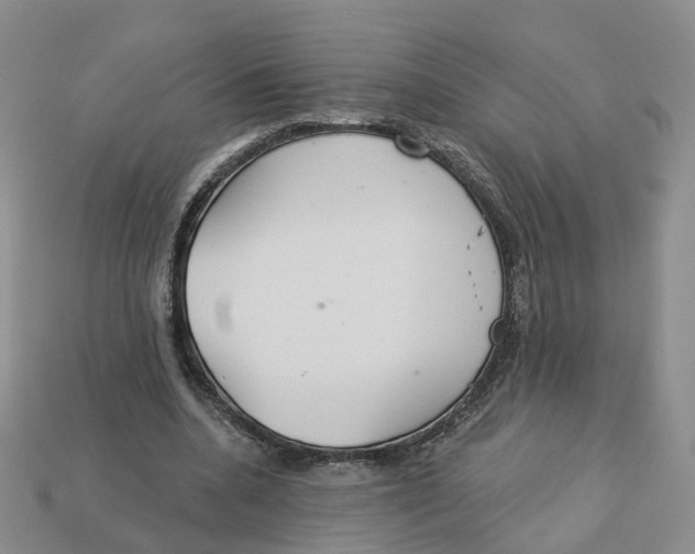 X0000113180536200910021545