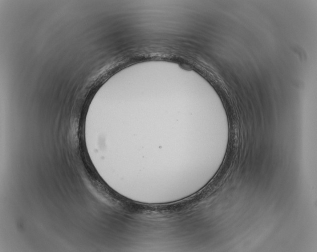 X0000113180538200910021545
