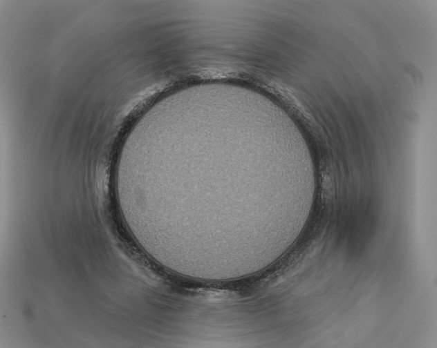 X0000113180539200910021545