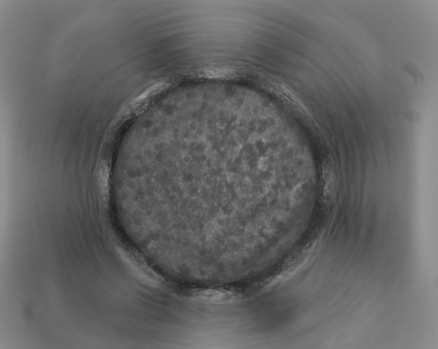 X0000113180542200910021545