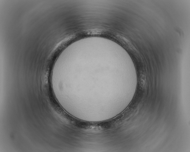 X0000113180543200910021545