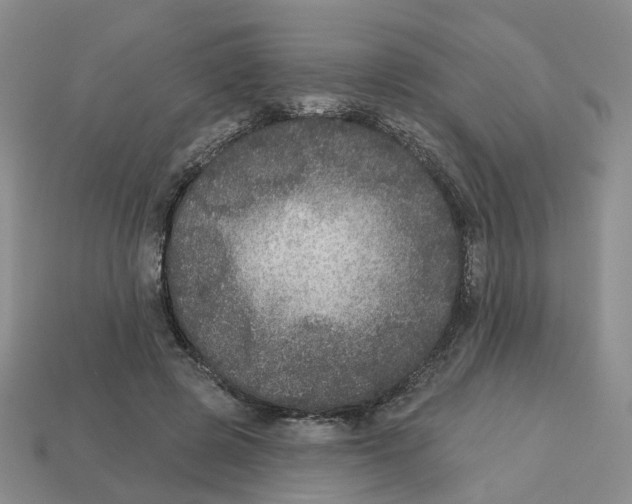 X0000113180545200910021545