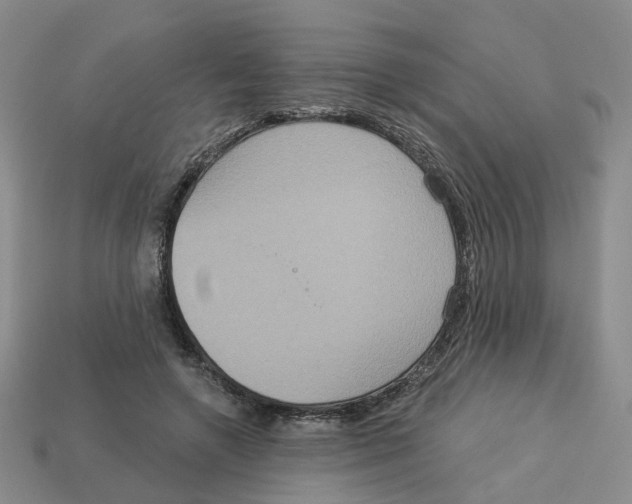 X0000113180546200910021545