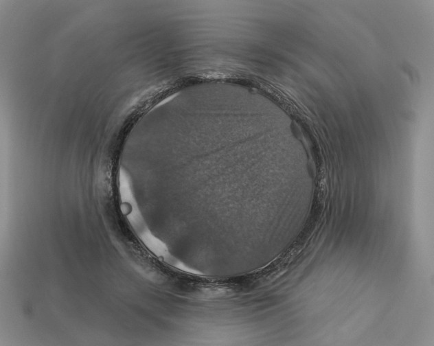 X0000113180547200910021545